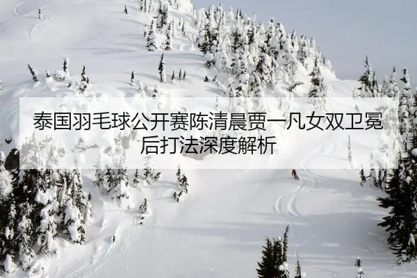 泰国羽毛球公开赛陈清晨贾一凡女双卫冕后打法深度解析